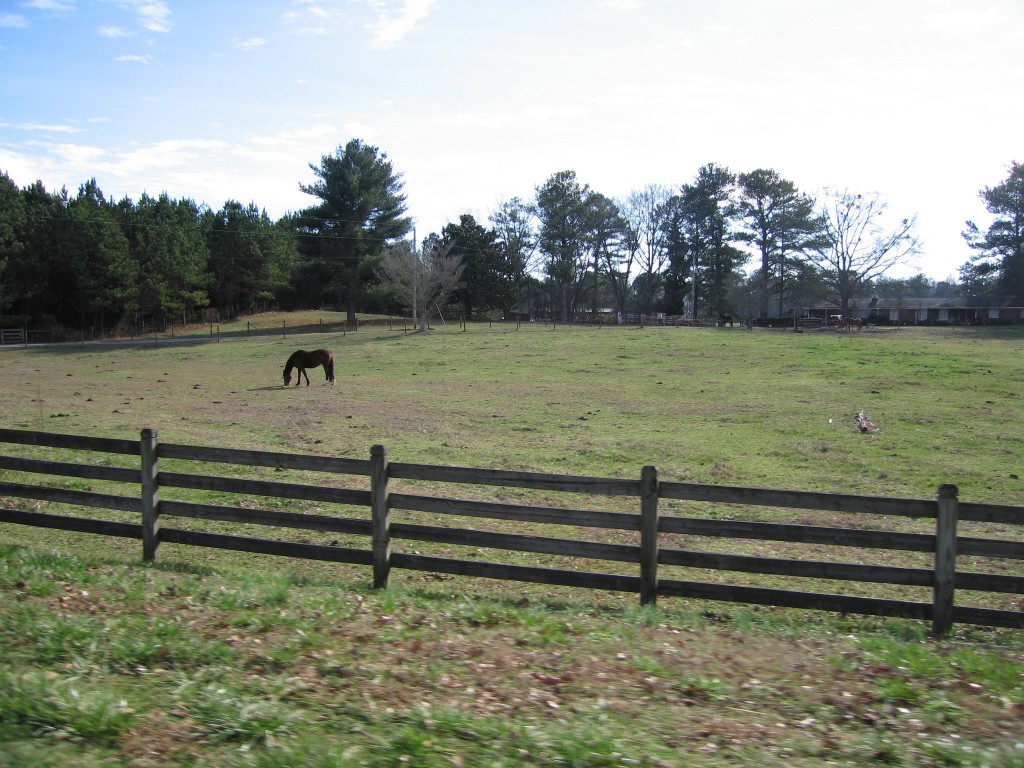 Milton Horse Farm