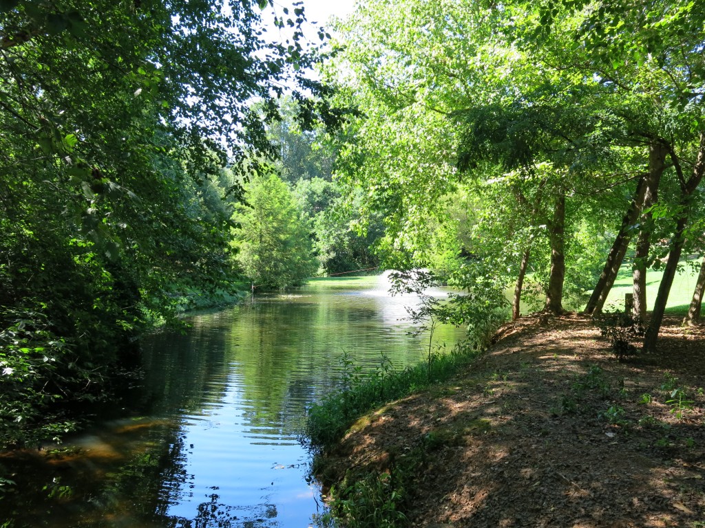 Madison Town Spring Park 0619 (2)